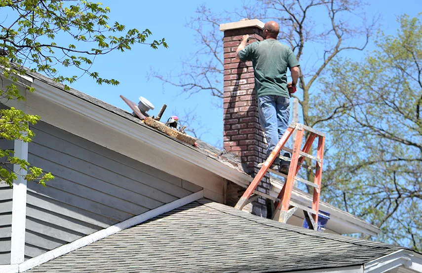 Chimney & Fireplace Inspections Services in Calhoun, GA